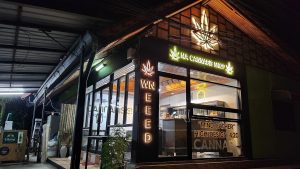 hoch bewertete Cannabis-Apotheken auf Koh Phangan – [Überprüfung 2024]