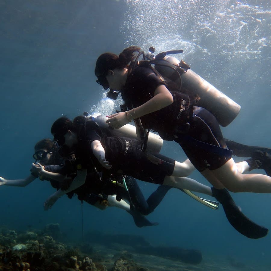 Calypso Diving