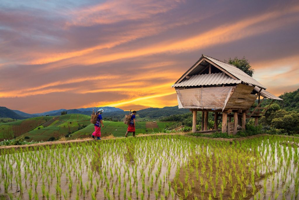 Chiang Mai oder Phuket Welches ist ein besseres Reiseziel