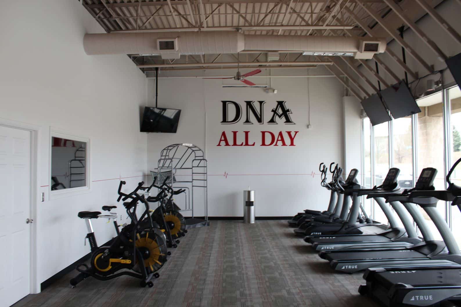 DNA Gym