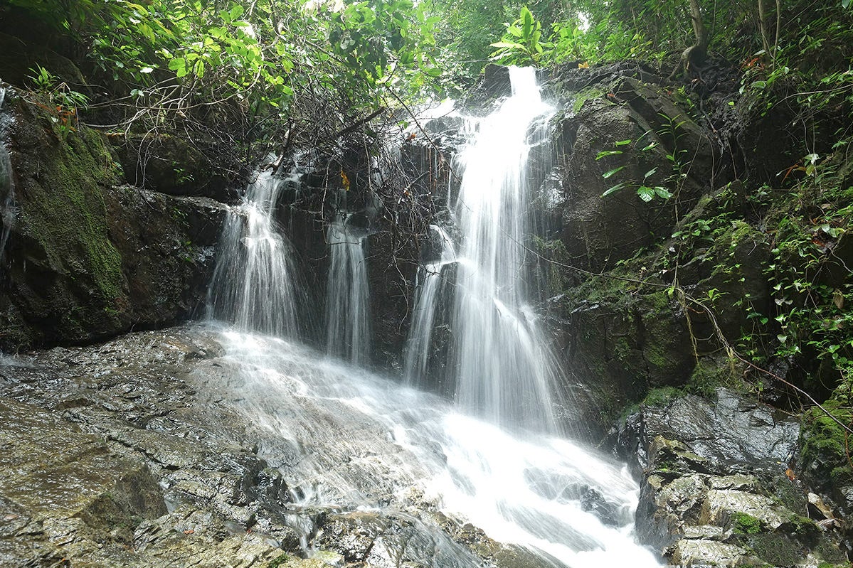 Der faszinierende Ton Sai Wasserfall von Phuket