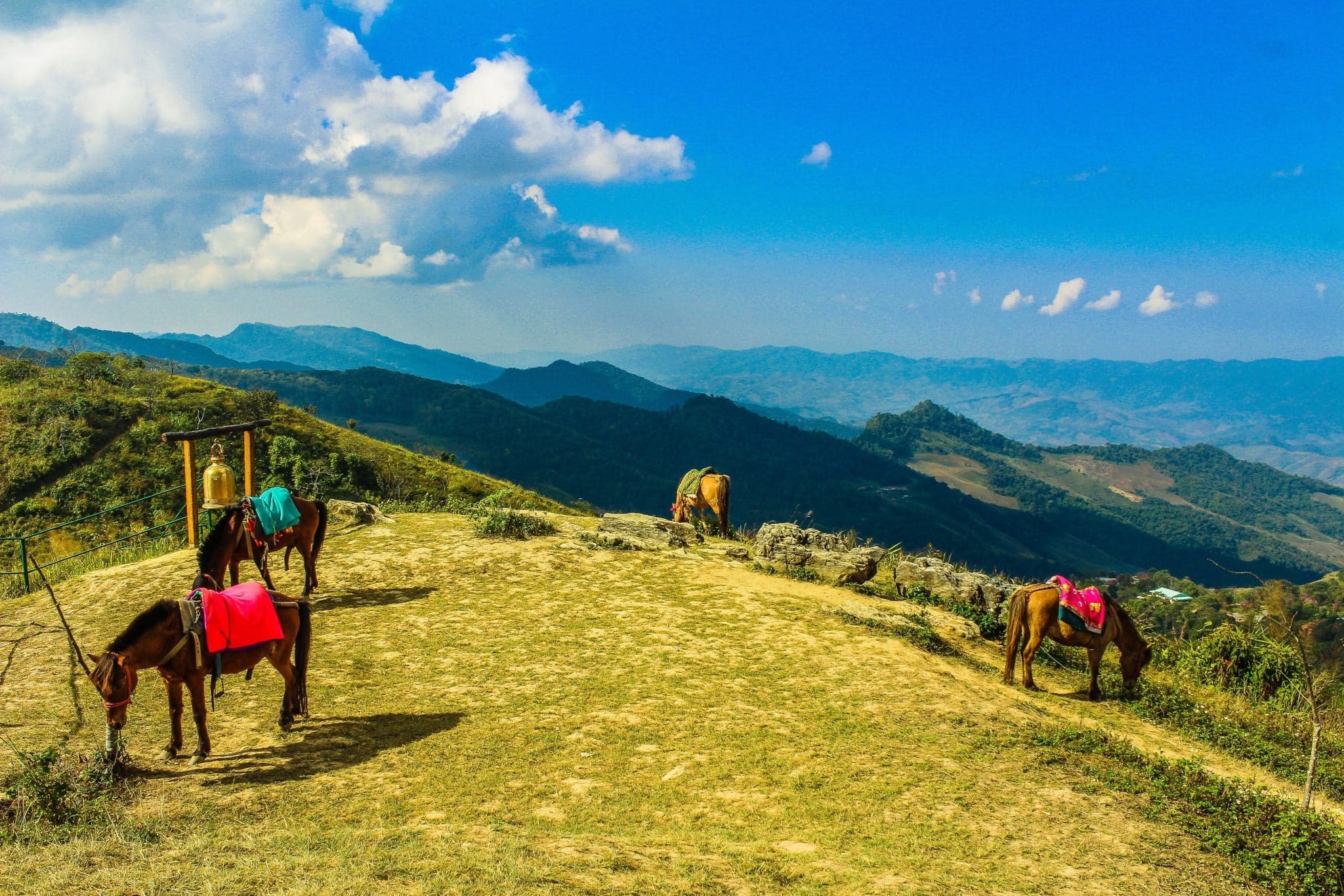 Die Besten Orte Zum Reiten In Chiang Mai Scaled