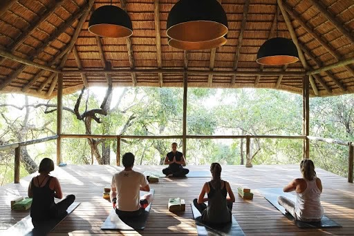 Die Besten Yoga Studios Und Kurse Auf Koh Tao – Leitfaden 2023