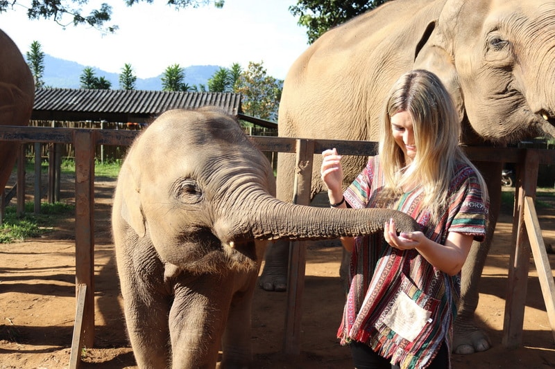 Elephant Jungle Sanctuary