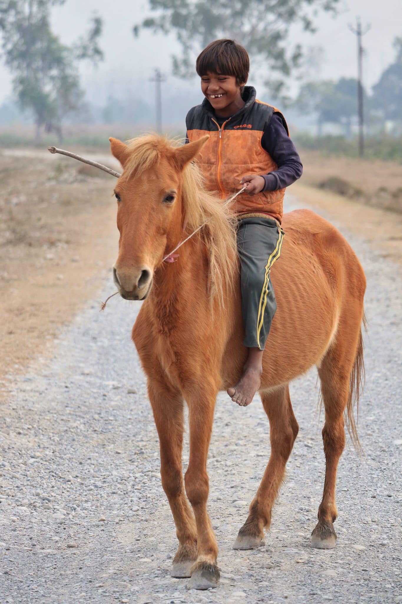 Equestrian Education Center Chiang Mai