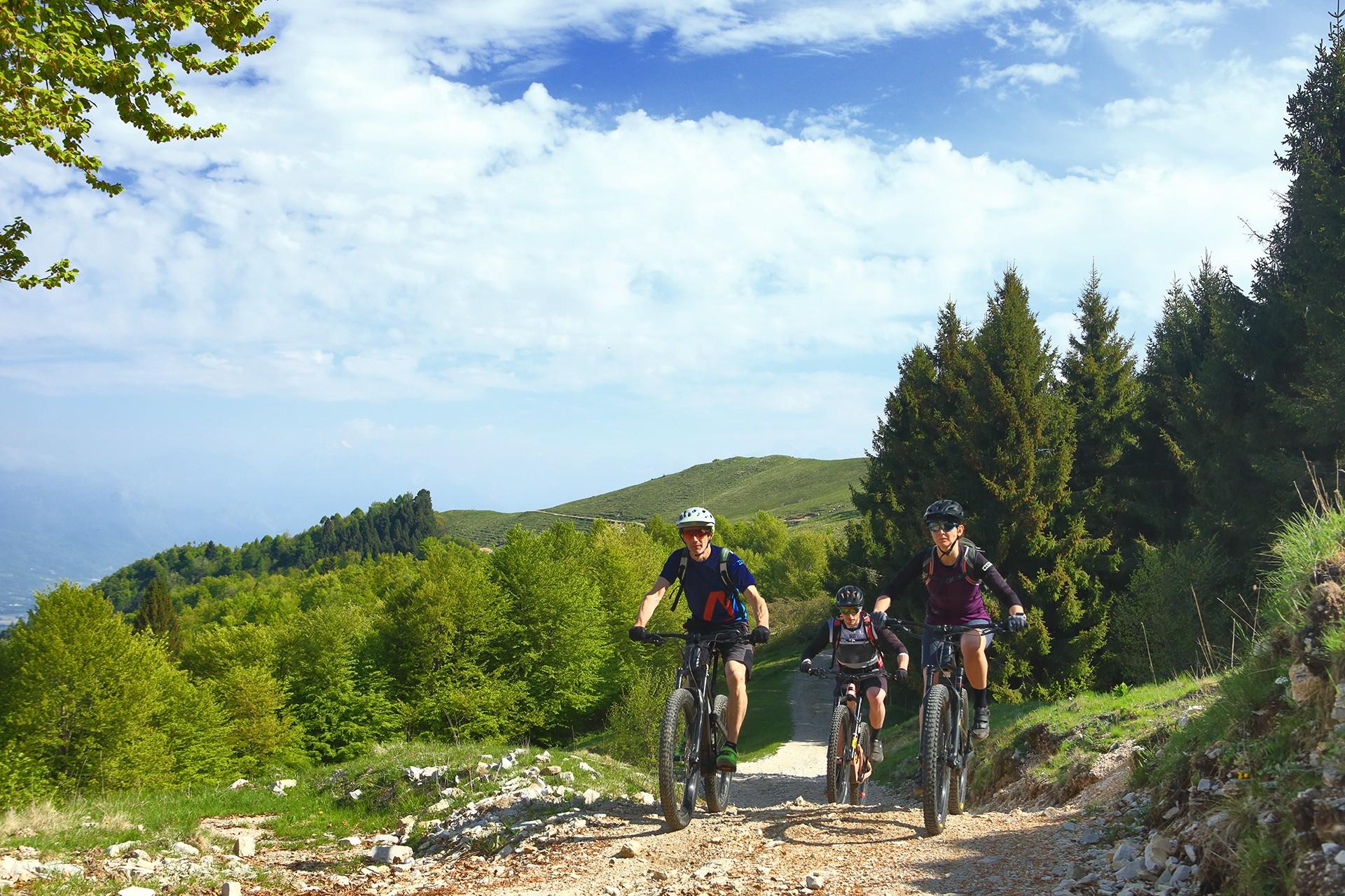 Erleben Sie Trekking im üppigen Grün