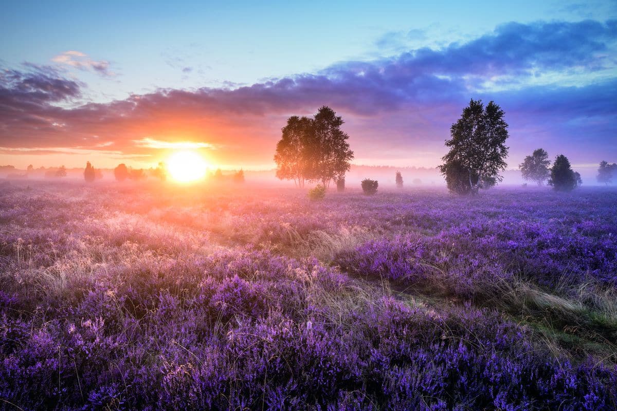 Genießen Sie den atemberaubenden Sonnenaufgang