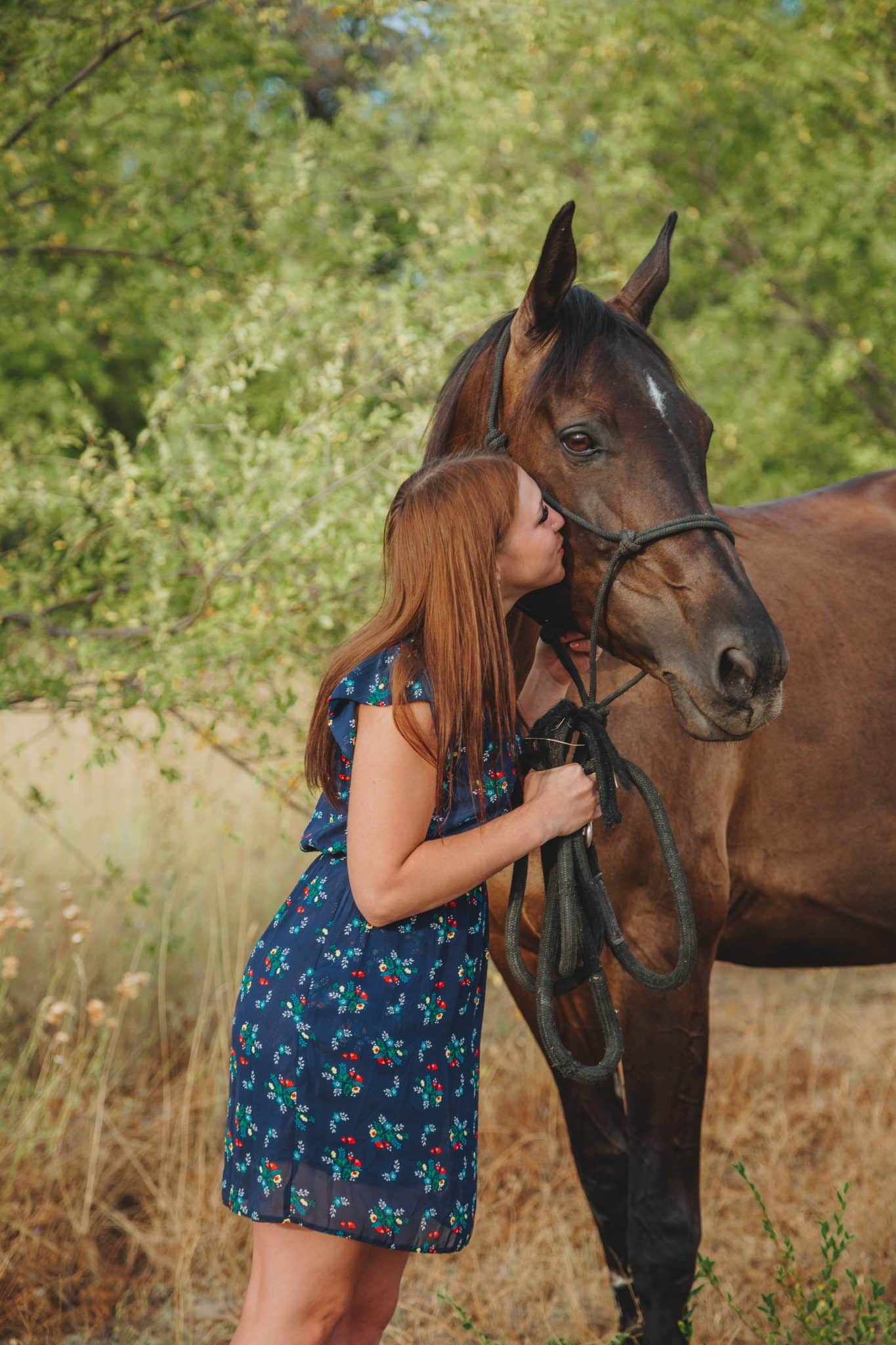 Happy Horse Stables