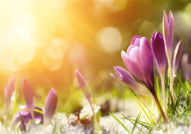 Heiße und trockene Jahreszeit - Februar bis Mai