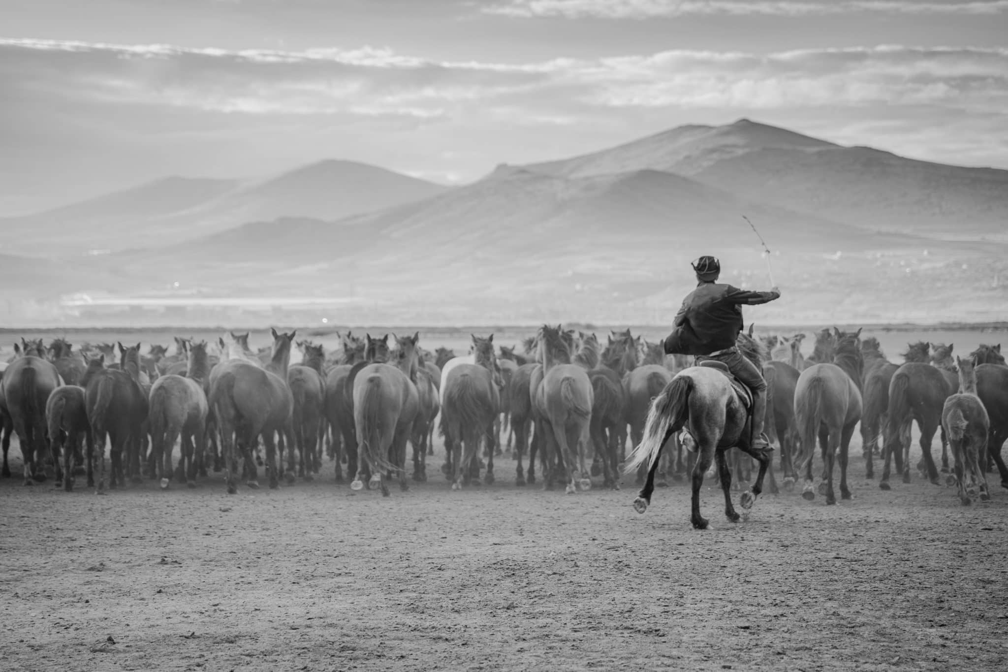 Laddaland Equestrian Club