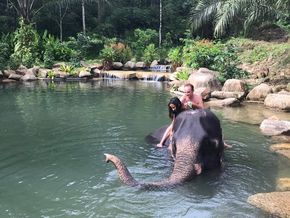 Phang Nga Elephant Park