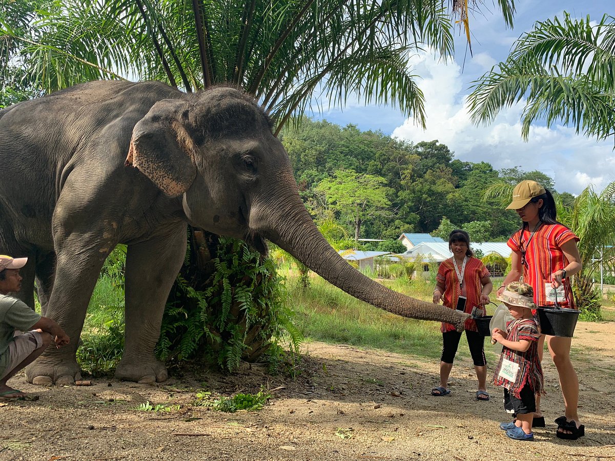 Phuket Elephant Sanctuary