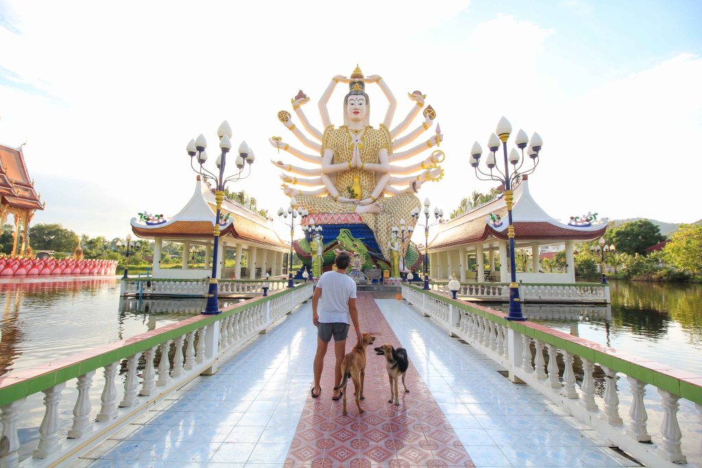 Tempel in Koh Samui