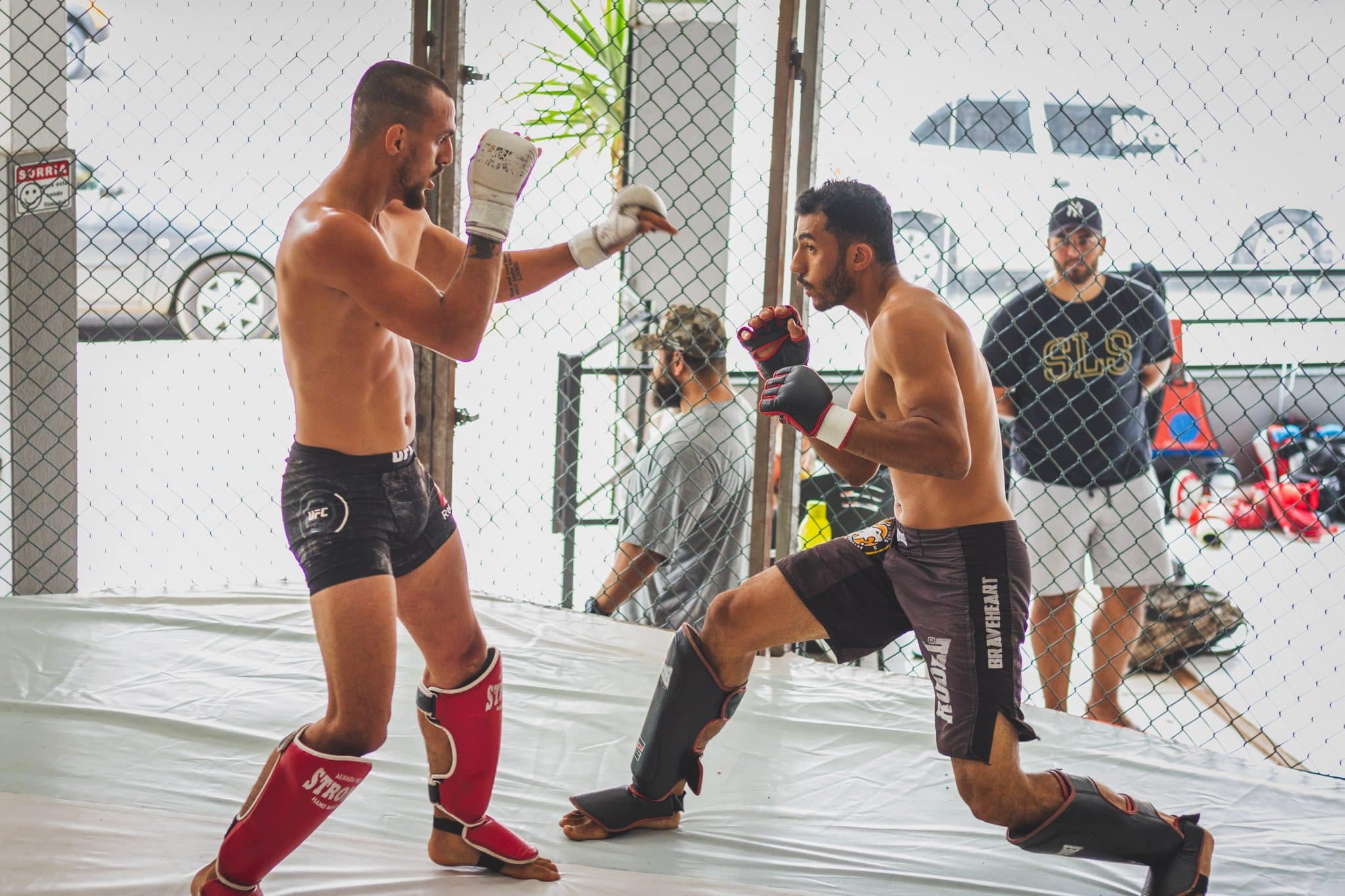 Tiger Muay Thai und MMA Training Camp