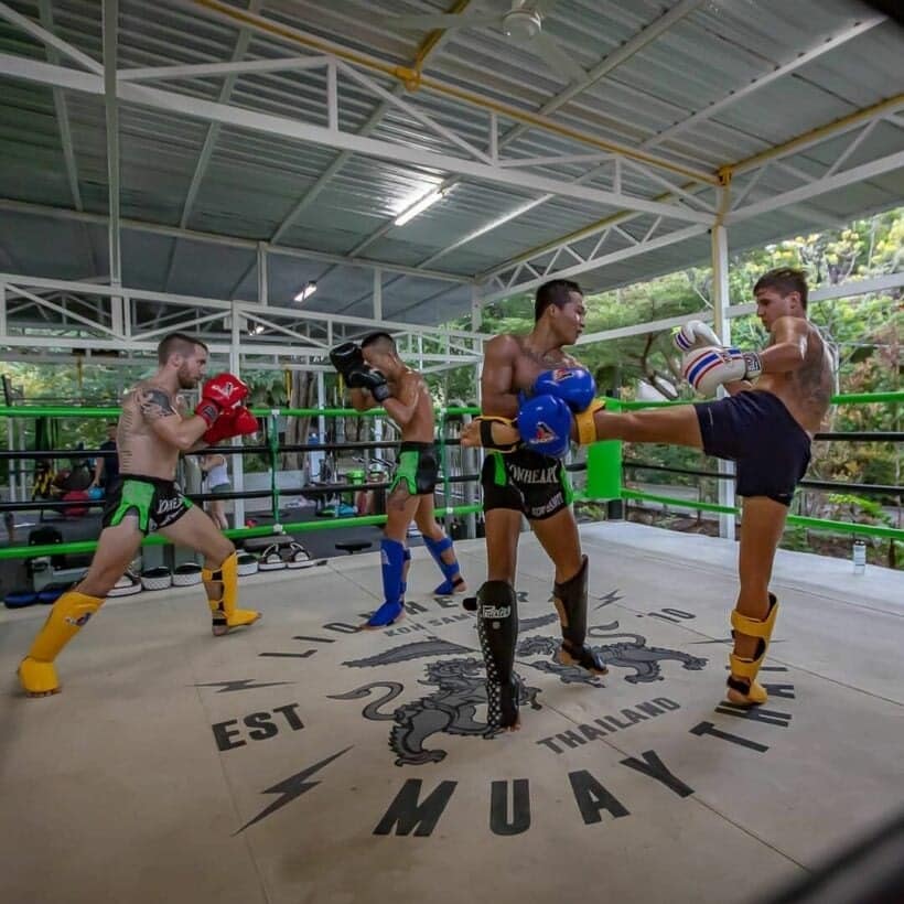 Top 5 Muay Thai Gyms auf Koh Samui – [Übersicht 2024]