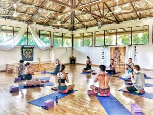 Yoga-Zentren auf Koh Phangan – Leitfaden 2024