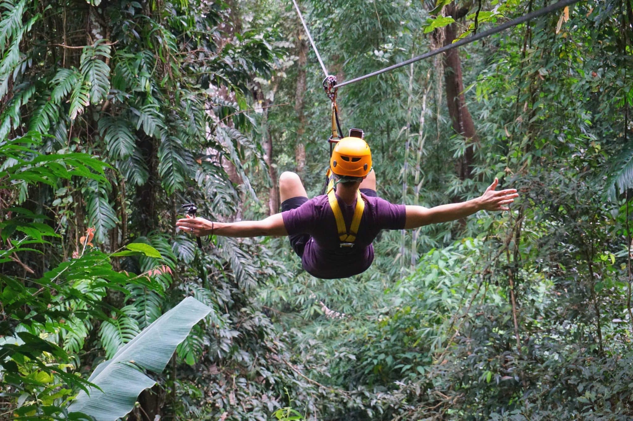 Zipline Flight of the Gibbon