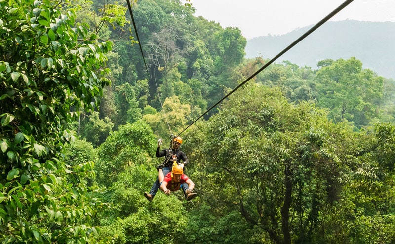 Zipline Jungle Flight