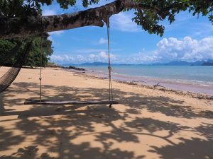 Holen Sie das Beste aus Ihrer Zeit am Klong Jark Beach heraus – [TN Guide]