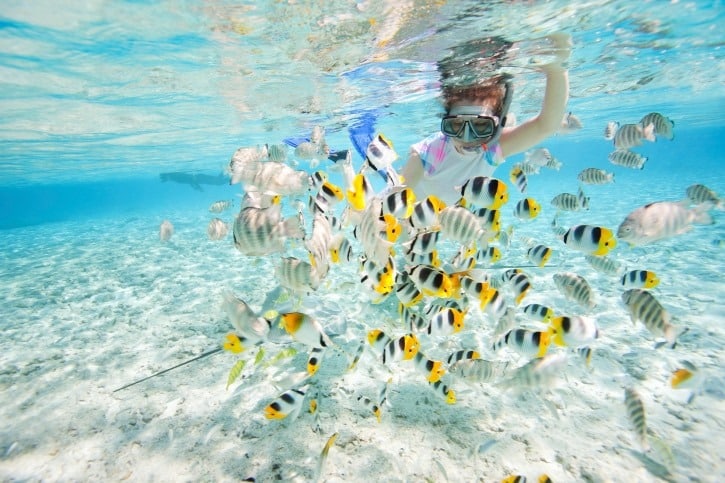 Schnorcheln in Koh Lipe - Vollständiger Leitfaden