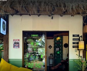 Die grüne Seite von Koh Lanta erkunden: Ein Leitfaden zu CBD- und Cannabis-Shops