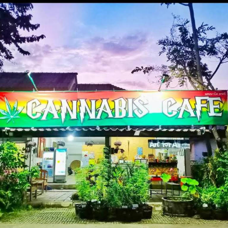 Cannabis Cafe- Kunst für Alle