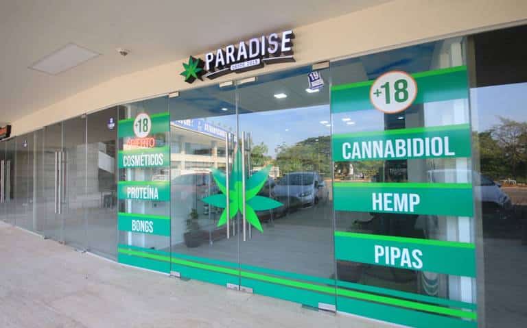 Paradise Cannabis Weed Marijuana Dispensary